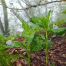 상학주차장 이미지