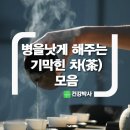 병을 낫게 해주는 기막힌 차(茶)모음 이미지