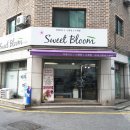 블룸마카롱 티스토리