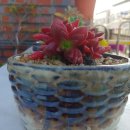 인계동 1045-1 이미지