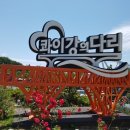저도스카이워크 네이버블로그
