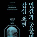 다윈북스