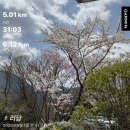 해향푸드 | 2025.05月 ~ 06月, 초여름