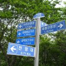 축령산휴양림입구 이미지