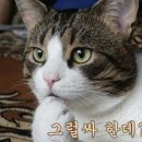 곰샤브칼국수