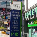 큰솔2병원 이미지