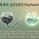 땀 흘리는 것만이 운동일까? 마인드풀 무브먼트와 알렉산더 테크닉의 만남 이미지