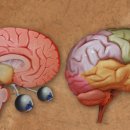 석인한의원 이미지