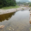 산야초산장 이미지