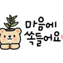 한결국제결혼 이미지