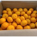 거운농장 이미지