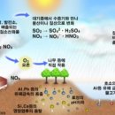 승용 농장 네이버블로그