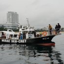 시크릿강릉 이미지