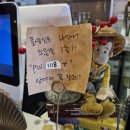 비건 베이커리 당근 컵케이크 | 마뽀즈 비건케이크 합정 비건카페 글루텐프리 디저트 맛집