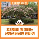 신암근린공원 이미지