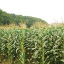 산촌영농조합법인 이미지