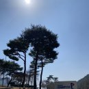 선운골프존 이미지