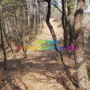 아산청풍펜션 이미지