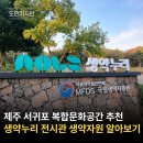 제주국가생약자원관리센터 | 제주 서귀포 복합문화공간 생약누리 전시관에서 생약자원에 대해 알아보기