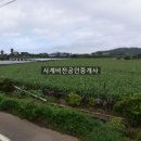 사계비전공인중개사사무소 네이버블로그