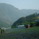 다복민박 이미지