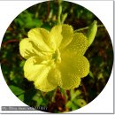 합천호한우구이 이미지