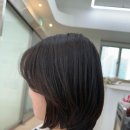 살롱드 봄 헤어 이미지