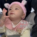 (주)스피드메이트수원센 | 수원 8개월 아기 문화센터 추천, 능실종합사회복지관 아기씨앗 여름학기