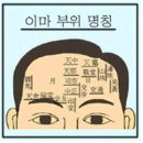 얼굴점에 관련된 좋은 점에 대해서 알아볼게요 이미지