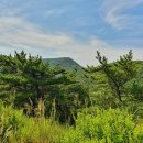 구봉산마을 Daum카페