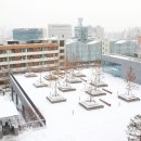 중앙대학교 행정대학원 이미지