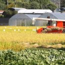 태안군농업기술센터(북부지소) 이미지