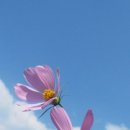 가을향기를 담은 향수 이미지