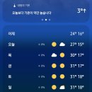 내일 서울 최고 30도 미쳤어요ㅠㅠ 이미지