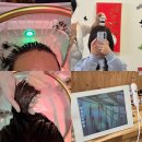 세라젬 부산동래점 | 부산 동래 에스테틱 수에스테틱 헤드스파로 스트레스 탈모 관리