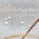 주남저수지 석산화장실 이미지