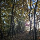 남산7길 1, (교현동) | 단풍 시즌🍁 충주 남산 금봉산 등산! 깔끔한 충주산성 둘레길 힐링 코스