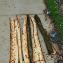 김승환 농장 이미지