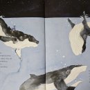 카스타나 이미지