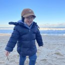 심바는 크리스마스 이미지