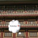 힐링이 필요할 땐 템플스테이, 1박 2일 체험형 후기 | 부산 내원정사 템플스테이