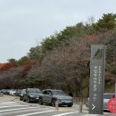 햇빛어린이집 | 두돌아기와 서울대공원 성공 공략집: 주차·동선·점심·기저귀·계절별 팁 완전정리