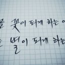 멀어서 나를 꽃이 되게 하는 이여 / 유안진 이미지