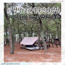 고래불 | 경북 캠핑장 추천 오션뷰 시설 좋은 영덕 고래불국민야영장 강추 후기