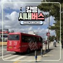 버스표 | 강릉 뚜벅이 여행 시내버스 시간표와 아이랑 버스 탑승 후기