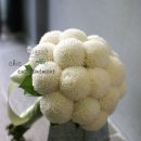S0015 이미지