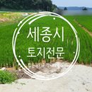 힐튼공인중개사사무소 이미지