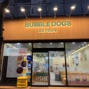 목욕 | [첨단애견목욕]광주24시 애견카페 버블독스/목욕후기🐶