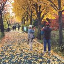 미도아파트_하 이미지