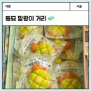 음지천 | 요즘 난리 난 동묘 완구거리 말랑이! 위치부터 코스, 구매 꿀팁까지 공개